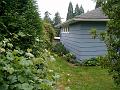 House 4.03 00016